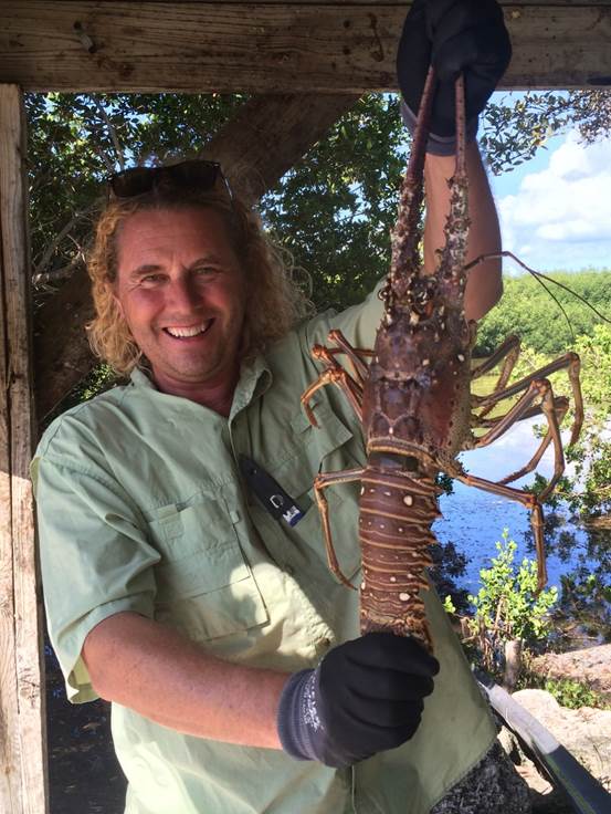 A picture containing person, tree, outdoor, lobster

Description automatically generated