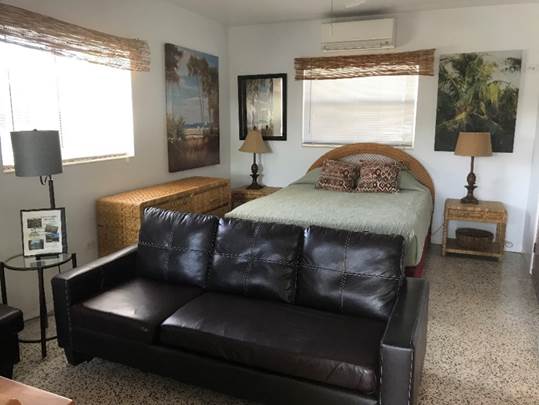 A picture containing indoor, floor, sofa, living

Description automatically generated